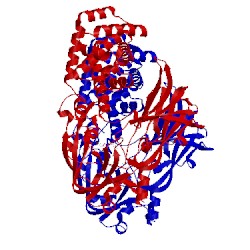 Image of CATH 1tox