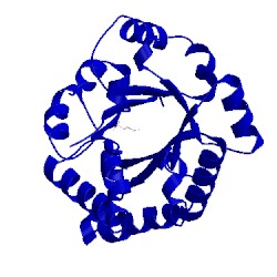 Image of CATH 1tti