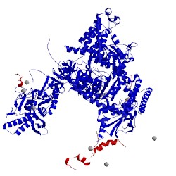 Image of CATH 1twc