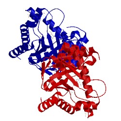 Image of CATH 1tx2