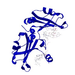 Image of CATH 1u1o