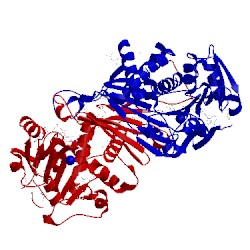 Image of CATH 1u7h