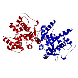 Image of CATH 1uoc