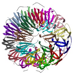 Image of CATH 1utd