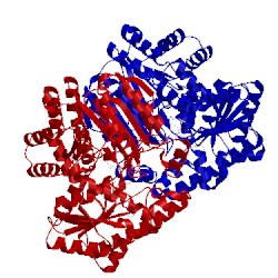 Image of CATH 1uwk