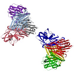 Image of CATH 1v6o