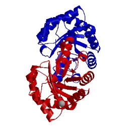 Image of CATH 1vcv