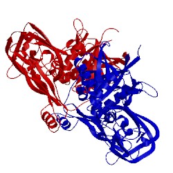 Image of CATH 1vde