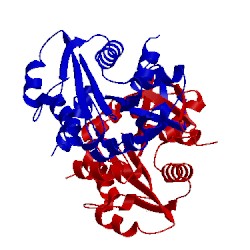 Image of CATH 1vgz