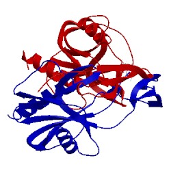 Image of CATH 1vhz