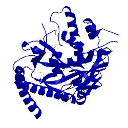 Image of CATH 1vjv