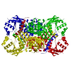 Image of CATH 1vl2