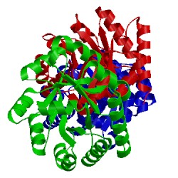 Image of CATH 1vlw