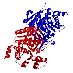 Image of CATH 1vm7