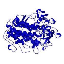 Image of CATH 1vng