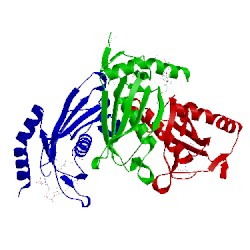 Image of CATH 1vpm