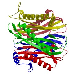 Image of CATH 1vr4