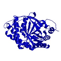 Image of CATH 1vyp