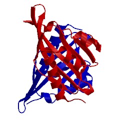 Image of CATH 1w01