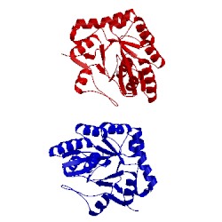 Image of CATH 1w17