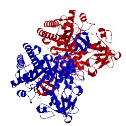 Image of CATH 1w1y