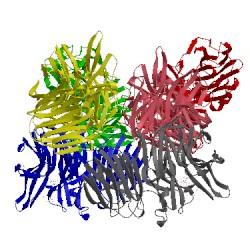 Image of CATH 1w2t