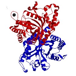 Image of CATH 1w2v