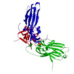 Image of CATH 1w39