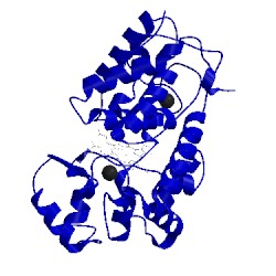 Image of CATH 1w4y