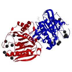 Image of CATH 1wb5