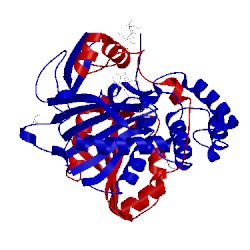 Image of CATH 1whs