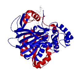 Image of CATH 1wht