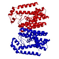 Image of CATH 1wl1