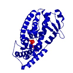 Image of CATH 1wm0