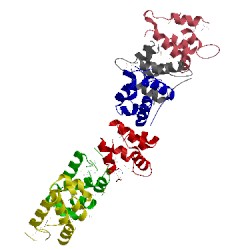 Image of CATH 1wmg