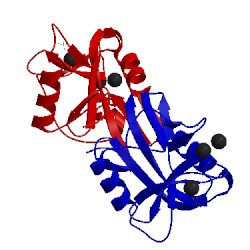 Image of CATH 1wmy