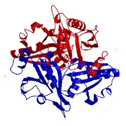 Image of CATH 1wng