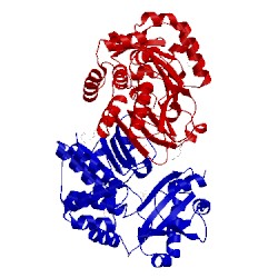 Image of CATH 1wpm