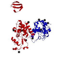 Image of CATH 1wvu