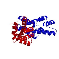 Image of CATH 1wwp