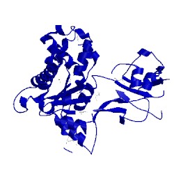 Image of CATH 1wxq