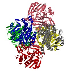 Image of CATH 1wye