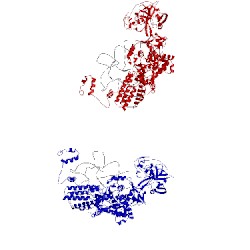 Image of CATH 1wz2