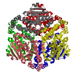 Image of CATH 1wz8