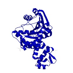 Image of CATH 1x1d