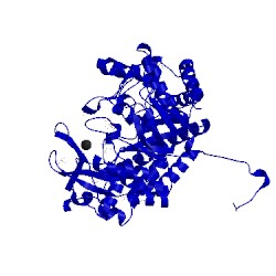 Image of CATH 1x1n