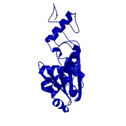 Image of CATH 1x1p