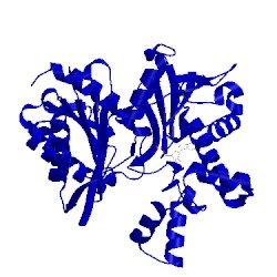 Image of CATH 1x3m