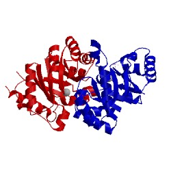 Image of CATH 1xby