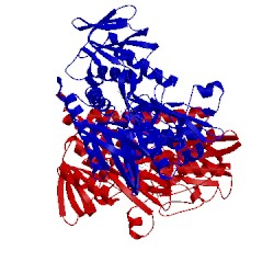 Image of CATH 1xdi